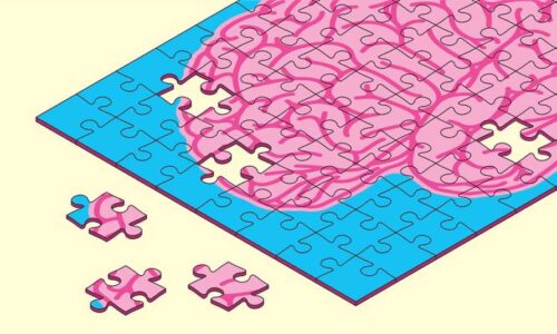 1140-pinkbrainpuzzle